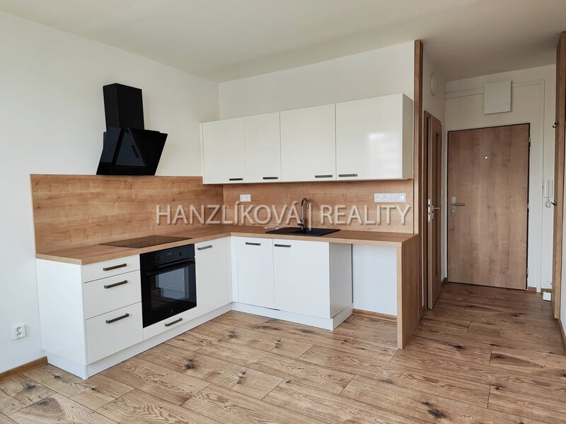 Pronájem kompletně zrekonstruovaného bytu 1+1 s balkónem, J. Opletala, sídliště Šumava