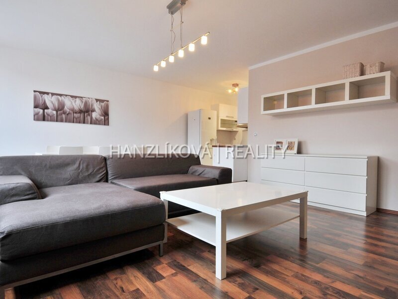Pronájem zděného bytu 2+kk s balkonem a garáží, Riegrova ulice, ČB