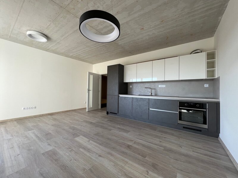 pronájem prostorného, částečně zařízeného bytu 1kk s balkonem, sklepem a garážovým stáním, O.Nedbala