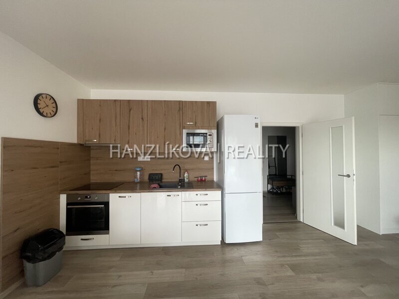 pronájem prostorného, částečně zařízeného bytu 1kk s terasou,  a garážovým stáním, O.Nedbala