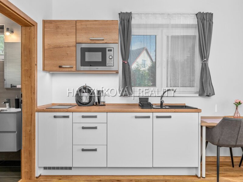 prodej zařízeného apartmánu 1kk s  vyhrazeným parkovacím stáním, Černá v Pošumaví