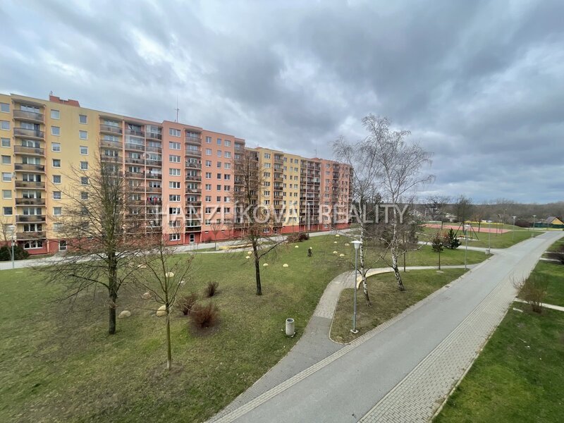 Pronájem bytu 3+1 s lodžií, K. Štěcha