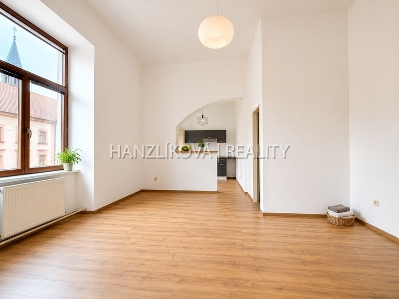 Pronájem bytu 1+1 s odděleným kuch. koutem, 47 m2,Žižkova tř. České Budějovice